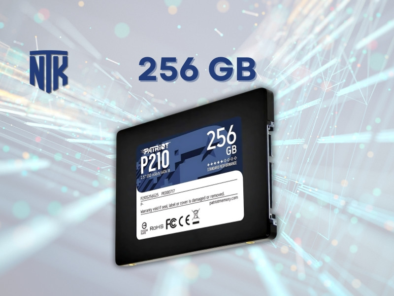 Ổ Cứng 256GB - Dung Lượng Vừa Đủ | Hiệu Năng Ổn Định