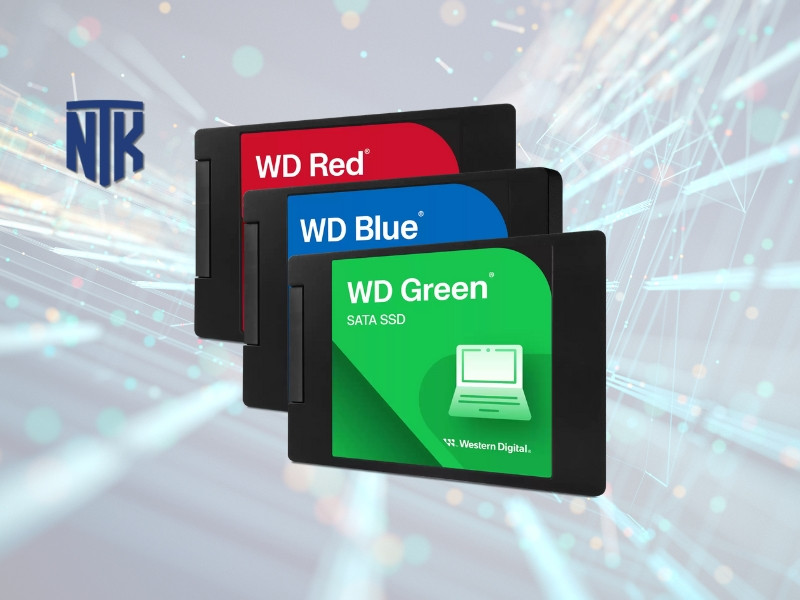 Ổ cứng SSD Western Digital - Blue | Green | Red | Black