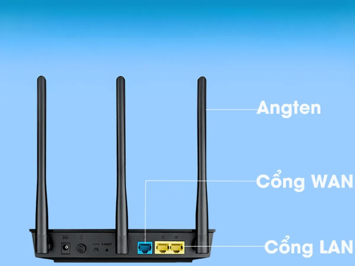 Dây mạng và đầu nối RJ45 – yếu tố bị bỏ quên nhưng quan trọng