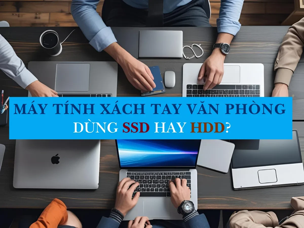 Tổng quan về ổ cứng SSD và HDD trên laptop văn phòng