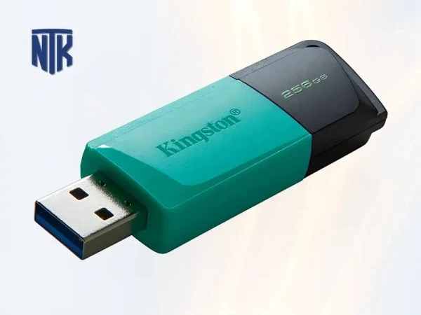 USB 3.2 Kingston DataTraveler Exodia Onyx 256GB